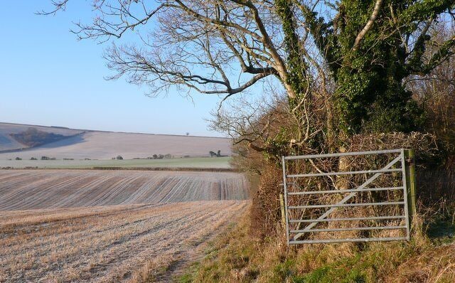 Countryside near Well Bottom Incombe Wood is on the right in this view west across the square. The C12 minor road from Dorchester to Marshwood runs along the top of the hill in the distance.