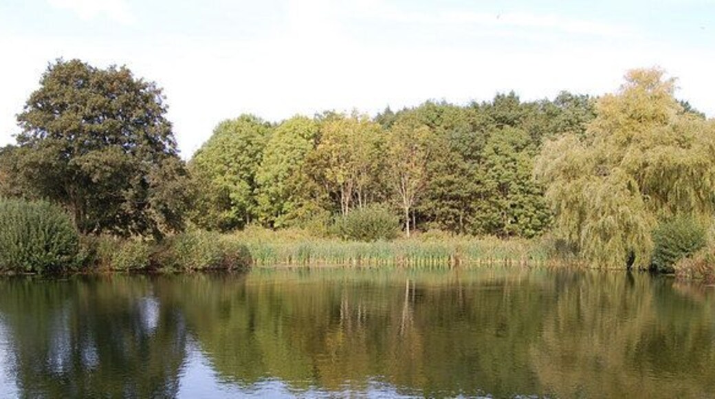 Pond near Aller Dorset