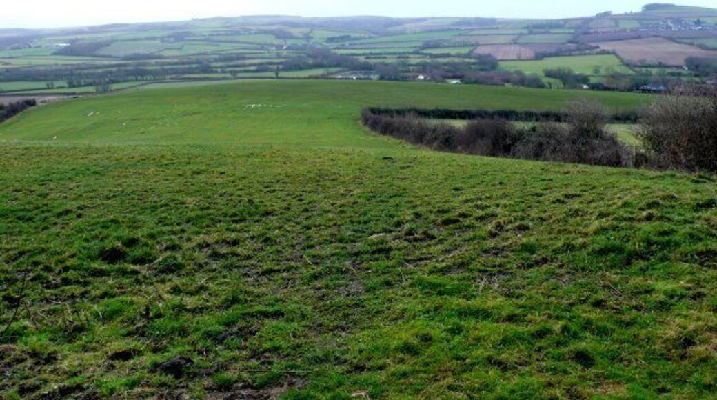 Farmland near Litton Cheney View S across the square from just east of Pins Knoll.