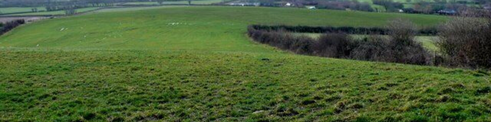 Farmland near Litton Cheney View S across the square from just east of Pins Knoll.