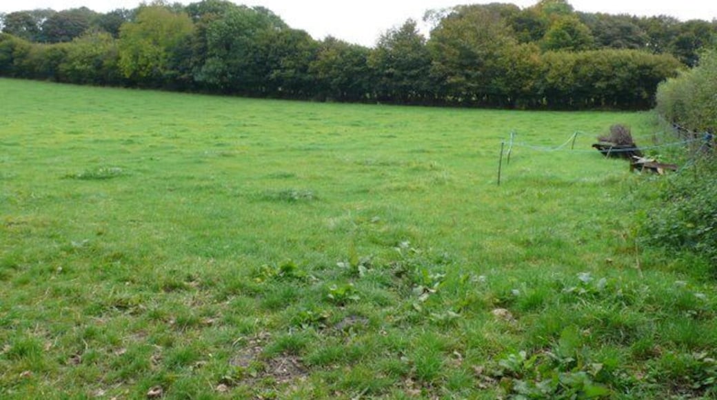 Fields near Higher Ansty This pasture field was obviously used for horse jumping as well as there were several jumps in a rope fence against the hedge.
