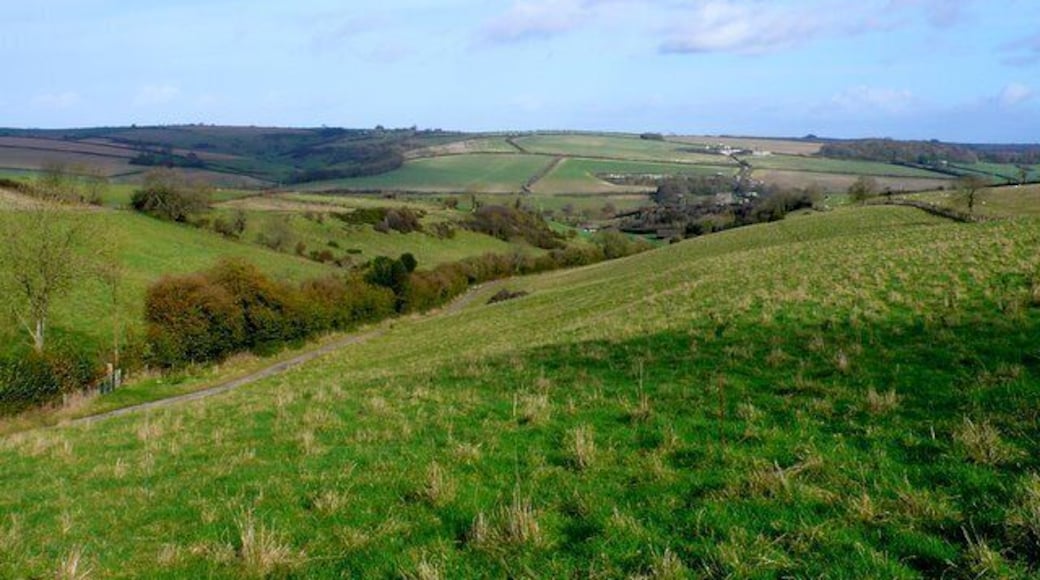 Notton Bottom View north east down Notton Bottom from the very south west corner of the grid square with in a few metres of the two grid lines. Close to this point a bridle path and track enters the square running from Notton Hill Barn (in SY5994) at the top of the Bottom to Notton Farm at the bottom of the Bottom.