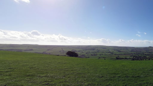 Road to Cornwall through Dorset, England