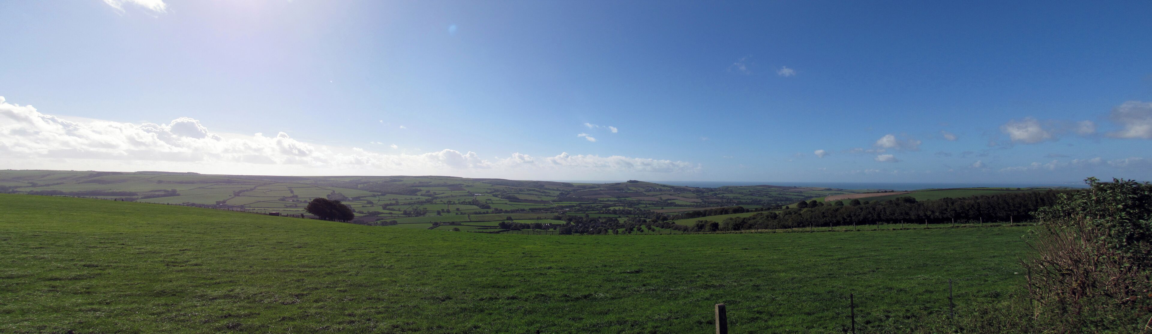 A green field with rolling hills and a clear blue sky.