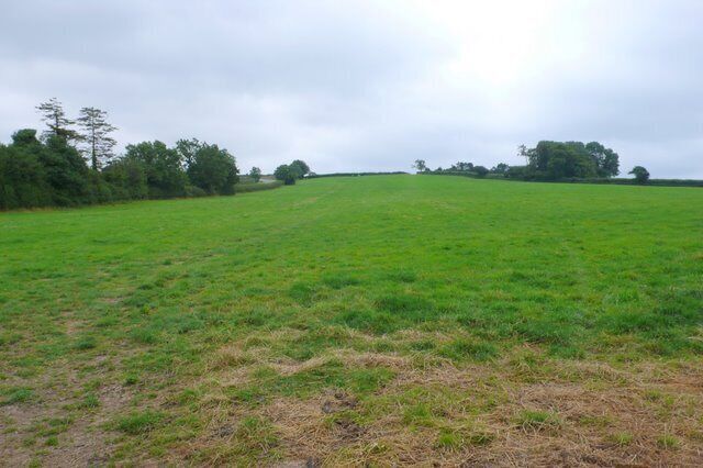 Countryside at Horchester View SE from close to the junction of the A37 and the minor road to Chalmington. The A37 can just be seen in the left distance.