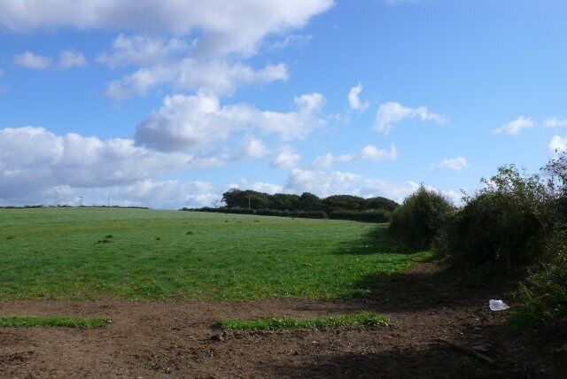 Knowle Hill View E towards Knowle Hill from just inside the W edge of the square close to Hampton Farm