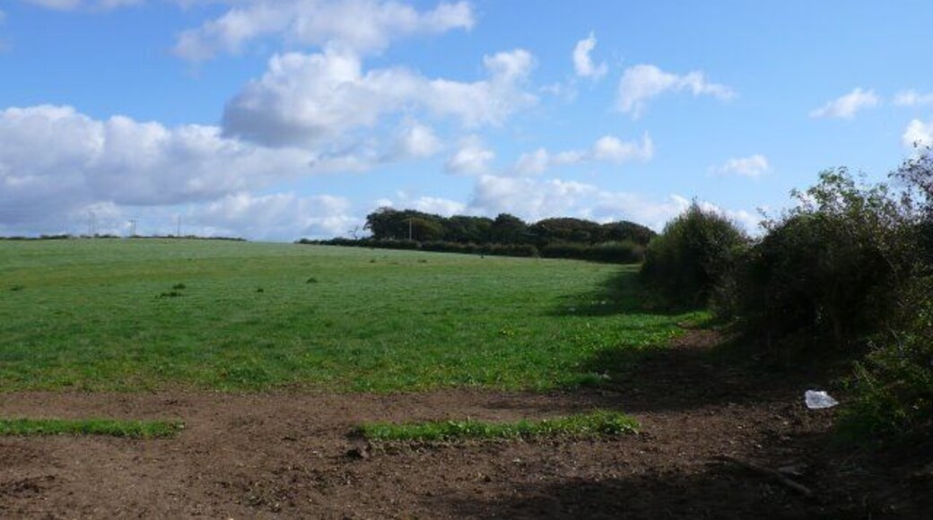 Knowle Hill View E towards Knowle Hill from just inside the W edge of the square close to Hampton Farm