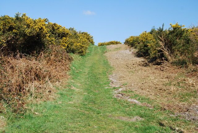 Track across Knighton Heath Dorset heathland scenery