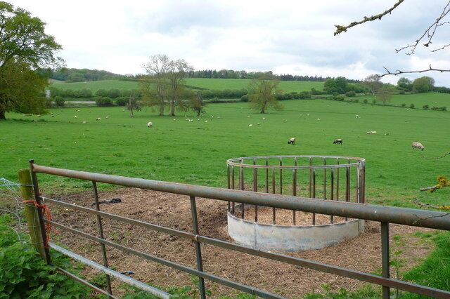 Farmland at Holywell Looking across farmland from the minor road that runs from Holywell to Redford. In the background can be seen the A37 Yeovil to Dorchester road.
