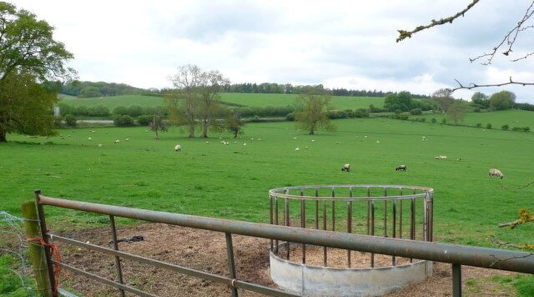 Farmland at Holywell Looking across farmland from the minor road that runs from Holywell to Redford. In the background can be seen the A37 Yeovil to Dorchester road.