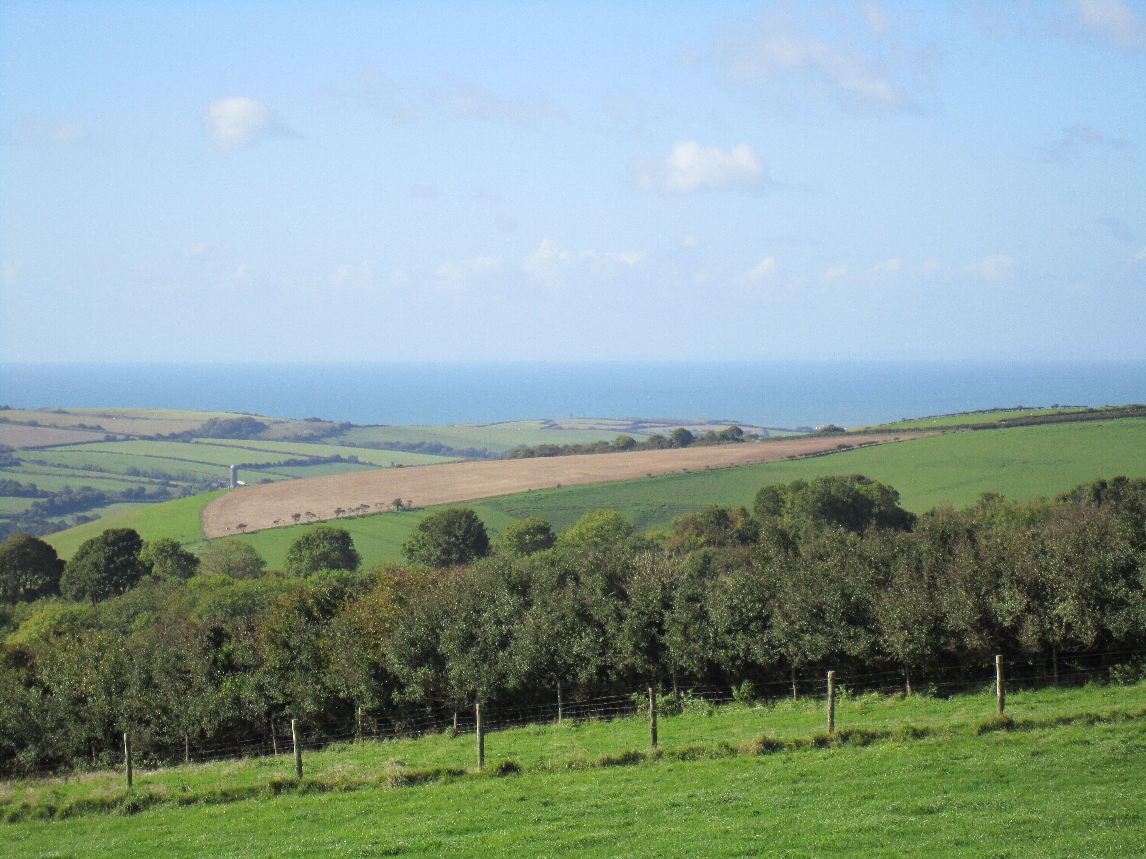 Road to Cornwall through Dorset, England