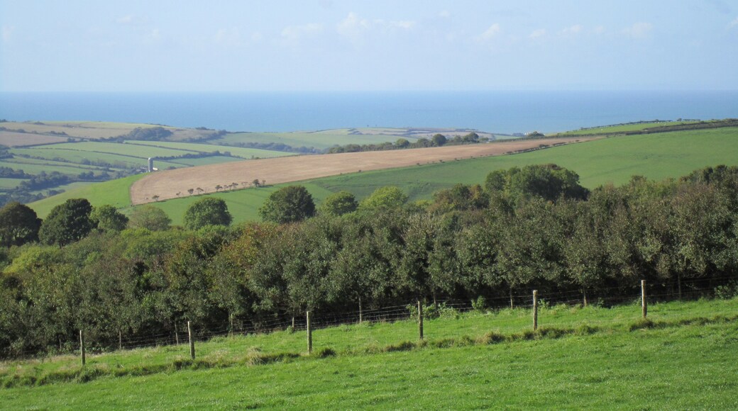 Road to Cornwall through Dorset, England