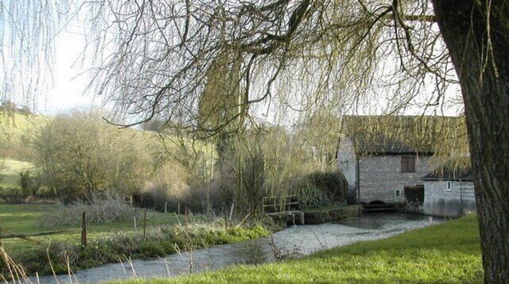 The River Cerne at Godmanstone