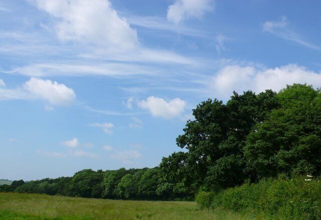 Countryside near East Chelborough Looking west past the woods at the side of the road from East Chelborough to Clarkham cross