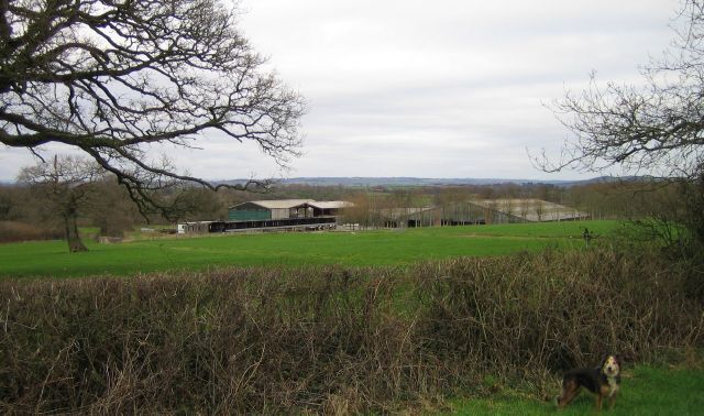 Townsend Dairy Farm Near Melbury Osmond