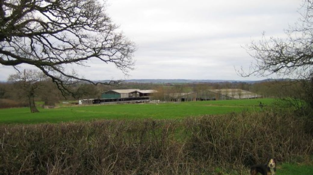 Townsend Dairy Farm Near Melbury Osmond