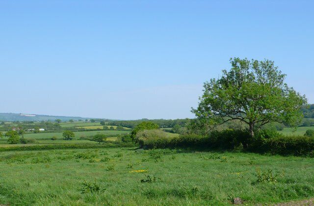 Countryside near Buckland Newton View south towards Bookham from the side of Bookham lane in between Bookham and Sharnhill Green.