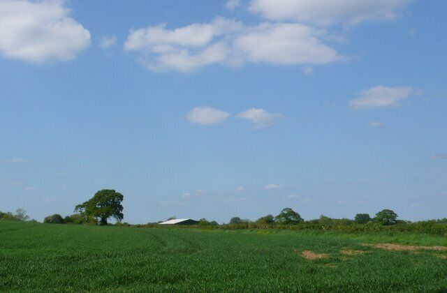 Countryside near Brockhampton Green View north from close to the road brom Brockhampton to Duntish Cross just north of Brockhampton Green