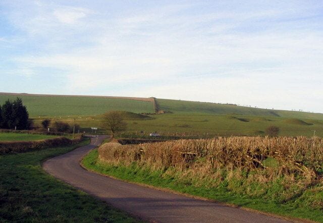 Minor road and Poor Lot barrows. This minor road is signposted to Compton Valence from the A35, but at its top end on the edge of SY5991 & SY5992 it is simply marked 'Main Road'. Not 'A35', not 'Dorchester, Bridport' but just 'Main Road'. Just after the bend the road drops into SY5890, and beyond the T-junction can be seen the ancient Poor Lot Barrows, complete with another one of those weird round features.