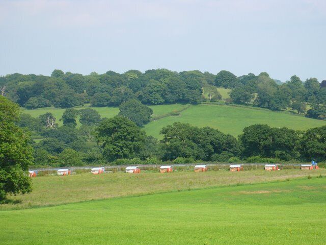 Pheasant rearing pens near East Chelborough From the presence of gas bottles at each hut it would appear that the birds accommodation is well heated.