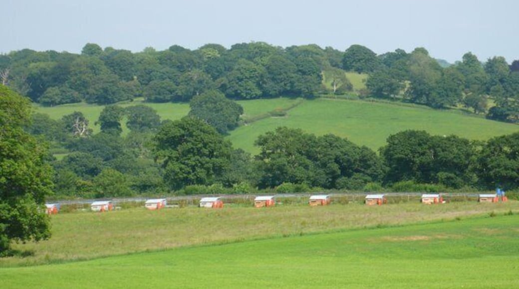 Pheasant rearing pens near East Chelborough From the presence of gas bottles at each hut it would appear that the birds accommodation is well heated.