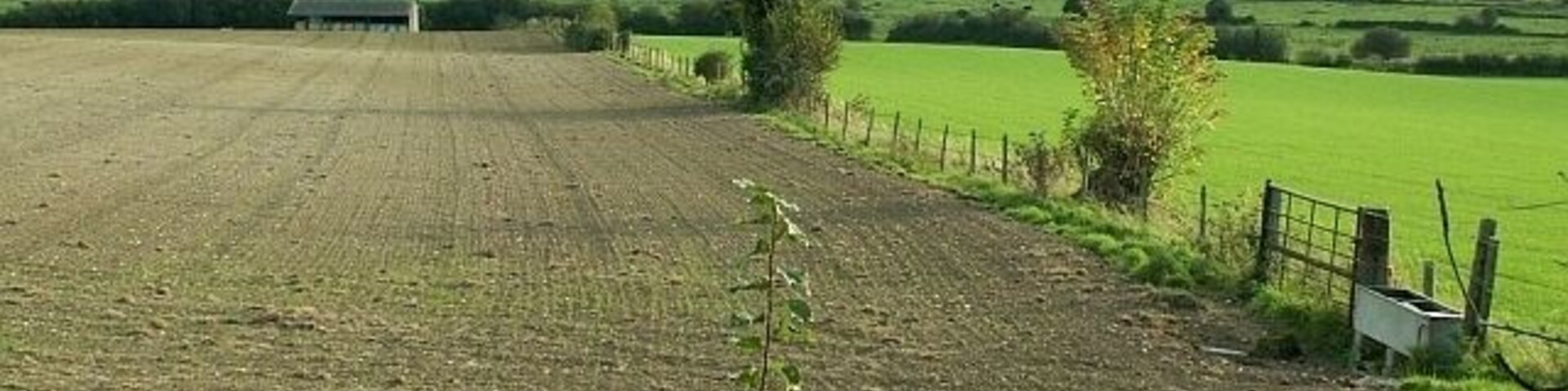 Un paisaje rural con un campo arado, una cerca y colinas ondulantes al fondo.