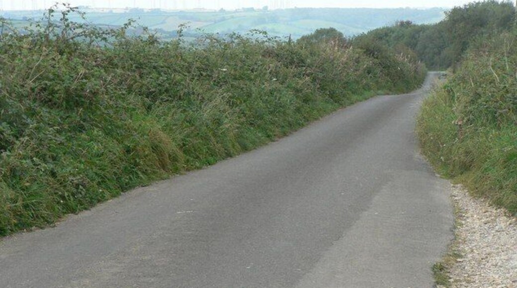 Toller Porcorum: Barrowland Lane This lane goes straight down the western edge of this gridsquare, and the picture looks north right from where it enters the next square west. The Rampisham radio masts can be seen in the background, as they can from many vantage points in this area.
