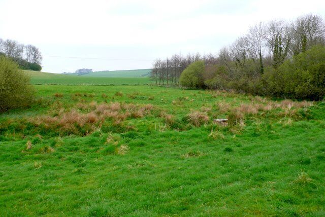 Countryside near Tollerford View north towards Tollerford on the western side of Maiden Newton close to the road to Wynford Eagle