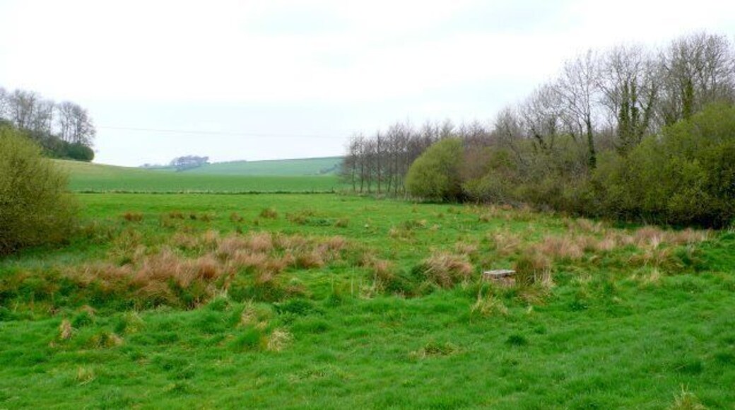 Countryside near Tollerford View north towards Tollerford on the western side of Maiden Newton close to the road to Wynford Eagle