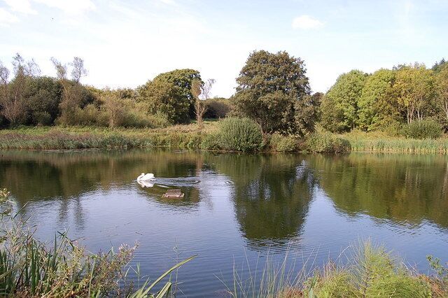 Pond near Aller Dorset