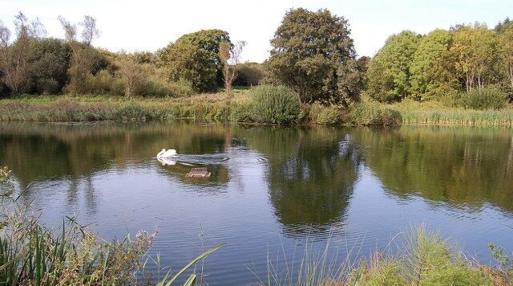 Pond near Aller Dorset