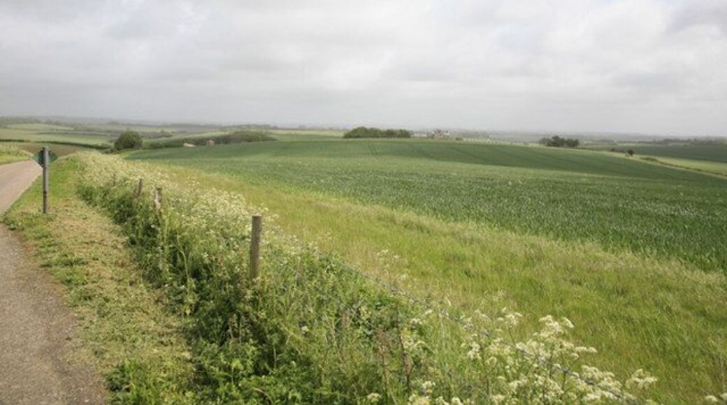Whitcombe Barn and Whitcombe Barn Farm The Barn is on the left and the Farmhouse just right of centre