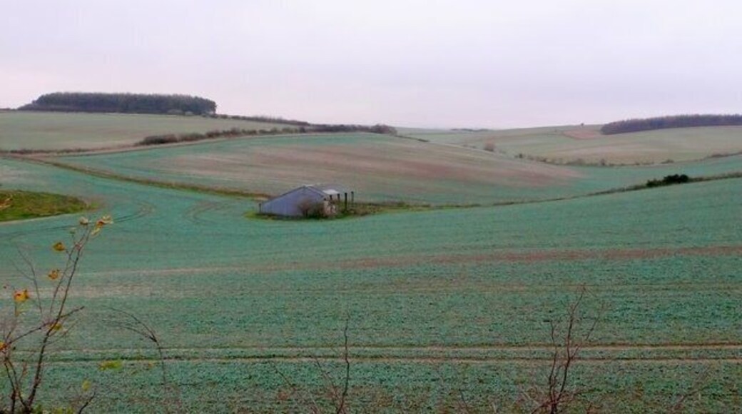 Countryside near Puddletown View north from the Puddletown Bypass. Only the front of the image is in SY7894. The remainder is in SY7895.