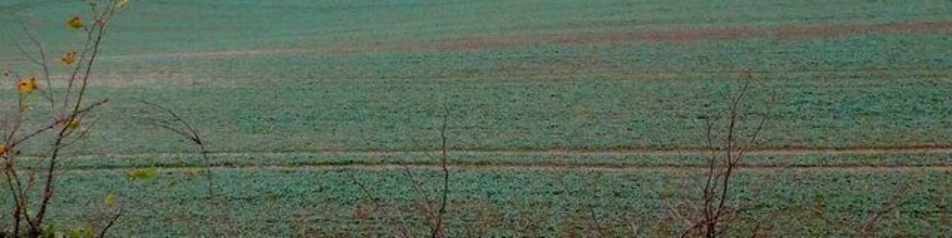 Countryside near Puddletown View north from the Puddletown Bypass. Only the front of the image is in SY7894. The remainder is in SY7895.