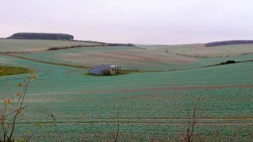 Countryside near Puddletown View north from the Puddletown Bypass. Only the front of the image is in SY7894. The remainder is in SY7895.