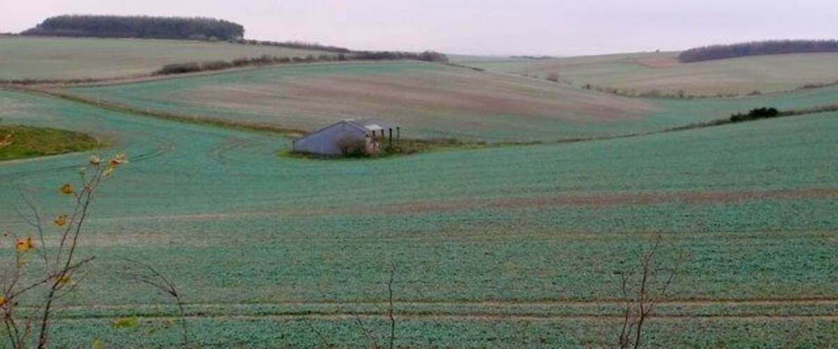 A rural landscape with rolling fields, a small structure, and distant trees.
