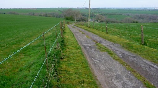 Track to Woolcombe farm View north west along the track that leads to the farm from Shatcombe Lane