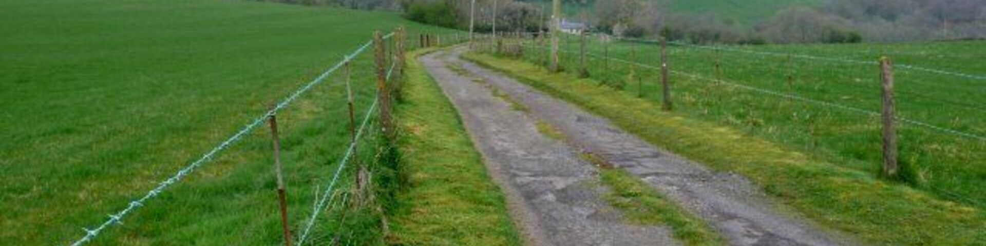 A rural road bordered by green fields and a wire fence.