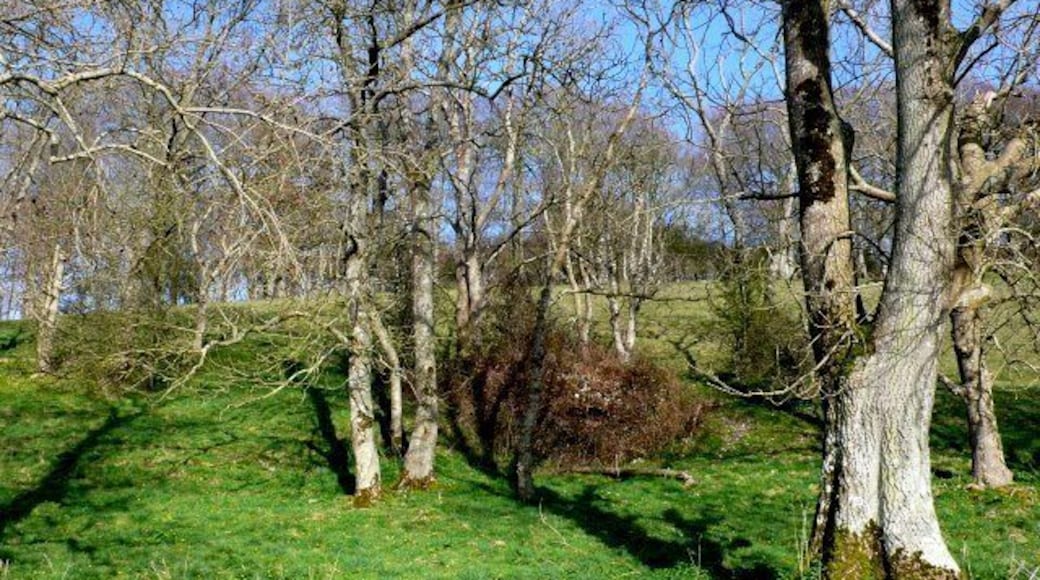 Lime Kiln in South Slip This overgrown brick built lime kiln is almost invisible in the undergrowth of the woods known as South Slip which is at the northern end of Long Bottom on its eastern slopes.