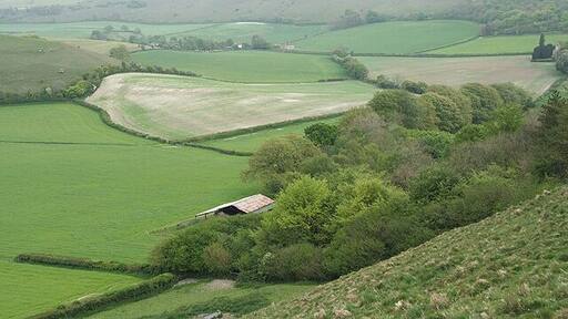 Plush: barn at Watcombe Bottom With a view towards Higher Hill from the bridleway leading to Church Hill