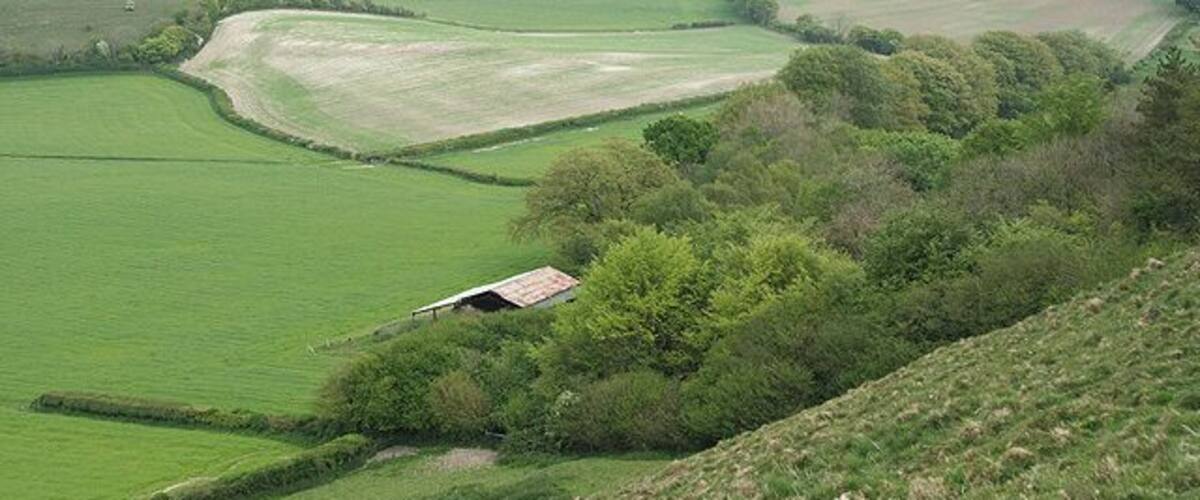 Rolling green fields, a small house, and distant hills.