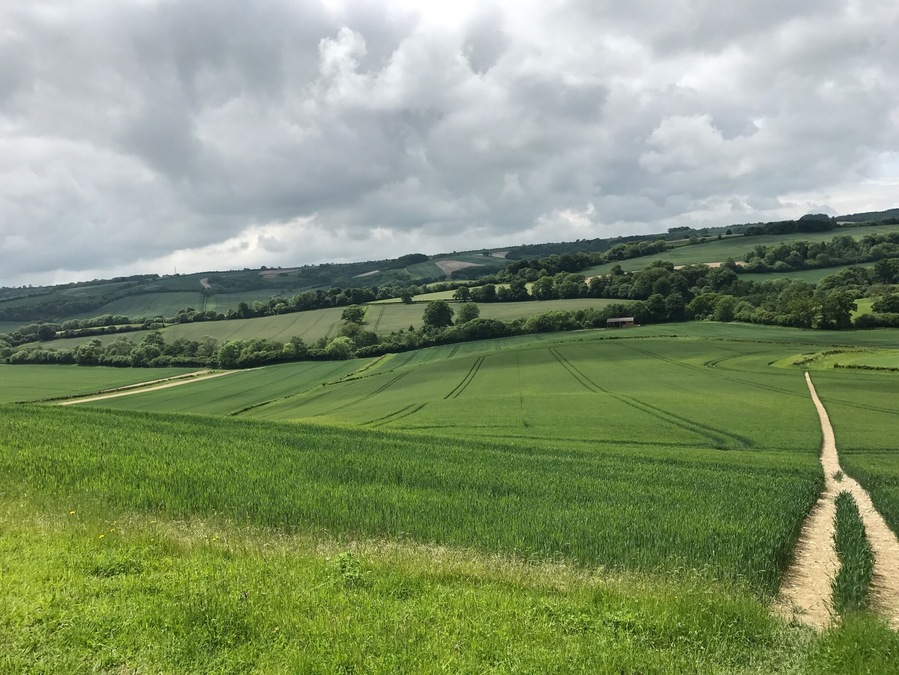 Beautiful countryside