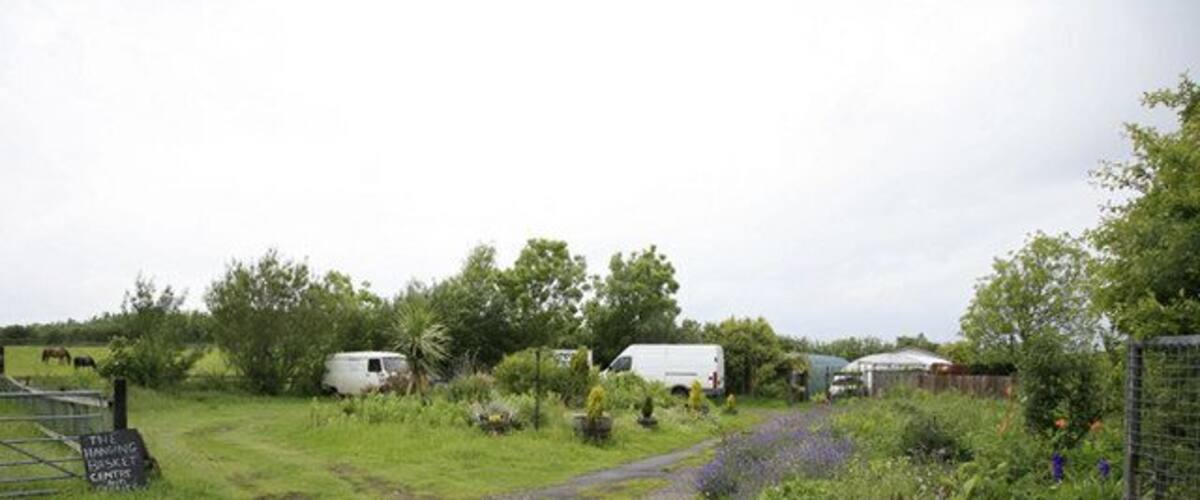 A rural road leading to farm buildings, surrounded by greenery and fences.