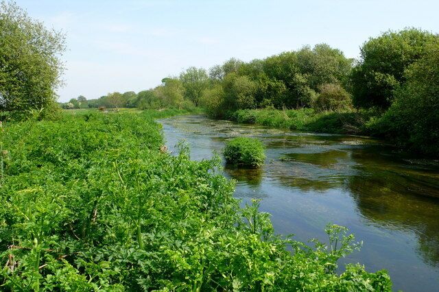 Frome downstream of Lewell Mill bridge Only the foreground is in the grid square as the river here flows east into SY7391