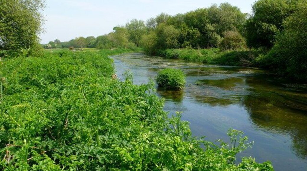 Frome downstream of Lewell Mill bridge Only the foreground is in the grid square as the river here flows east into SY7391