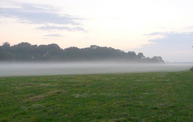 Mist at Yellowham Woods The mist across the field looked just as if someone had spread some thin delicate layers of cloth that floated a few feet above the ground.