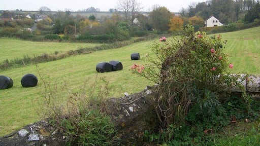 Over the churchyard wall, Cheselbourne The village of Cheselbourne from over the churchyard wall.