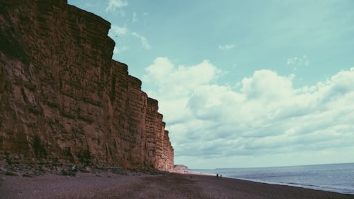 West Bexington Pond, Dorchester, United Kingdom