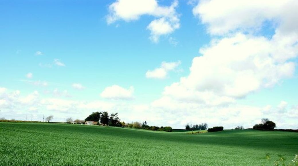 Higher Burton Farm A view across corn fields from near Higher Burton Cottages