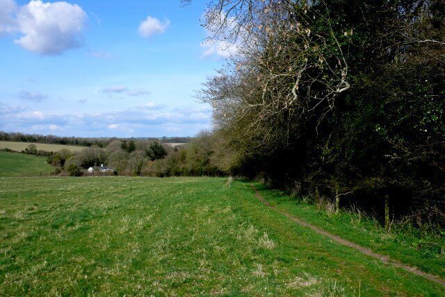 Barrow Plantation This is the view north east down the bridle path that runs along the north west side of barrow Plantation. in the trees in the distance can be seen Steppes Farm.